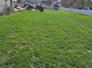 shertisa M.'s lawn service service result