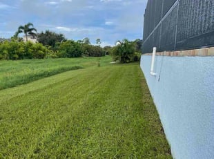 Sharron B.'s grass maintenance service result