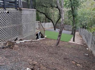 Terence B.'s Leaf Removal service result