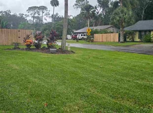 Lindsey P.'s lawn maintenance service result