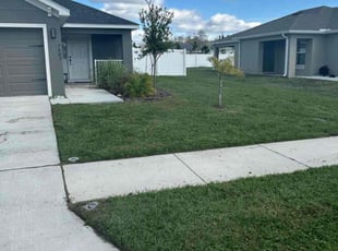 Jessica D.'s grass cutting service result
