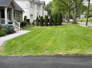 Matt A.'s lawn care services service result