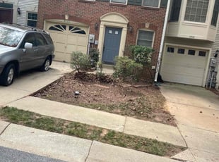 Celena R.'s Bush Trimming service result