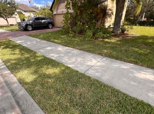 Rong S.'s lawn care service result