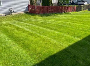 Tom S.'s turf maintenance service result