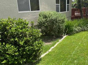 Karen P.'s Bush Trimming service result