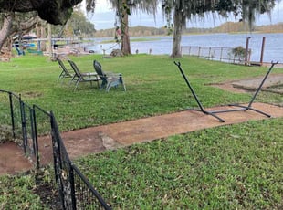 David W.'s turf care service result