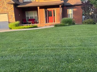 Julee H.'s grass cutting service result
