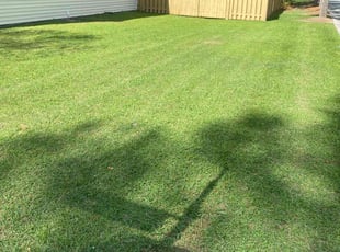 Donna N.'s lawn care service result