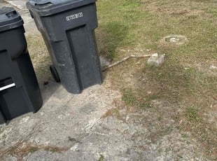 Susan B.'s turf care service result