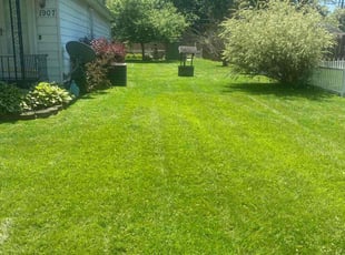 Donna W.'s grass maintenance service result