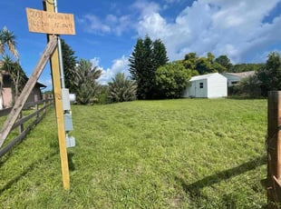 Paulette S.'s lawn maintenance service result