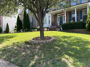 Travis H.'s lawn care services service result