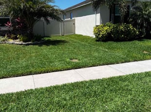 Rashaad A.'s grass cutting service result