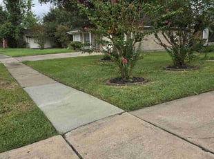 Ron C.'s grass maintenance service result