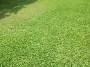 Charles F.'s lawn service service result