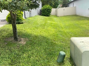 Valerie A.'s lawn care services service result