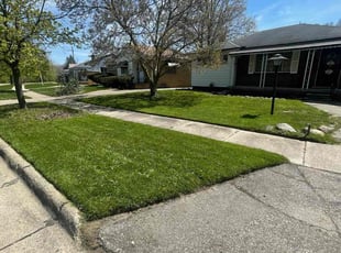 Pamela H.'s turf care service result