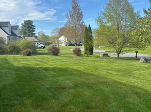 Stephanie M.'s turf maintenance service result