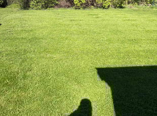 Hala H.'s turf maintenance service result