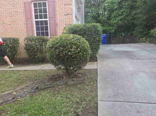 Sean F.'s Bush Trimming service result