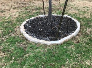 Gwen H.'s Flower Bed Weeding service result