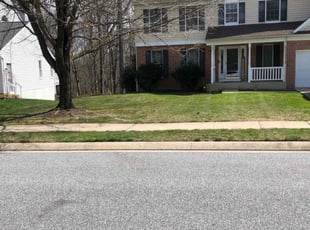Teresa I.'s lawn service service result