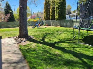 Willie J.'s lawn care services service result