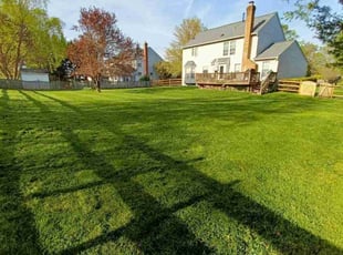 Scott S.'s lawn maintenance service result