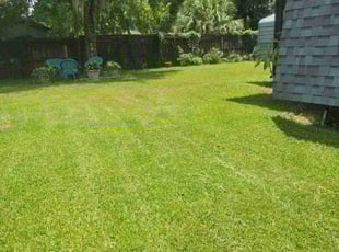 Julie T.'s lawn service service result