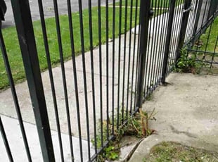 Debra/Jeff P.'s Bush Trimming service result