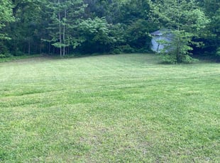 Ward N.'s lawn care service result