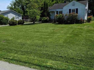 Kenneth B.'s grass cutting service result