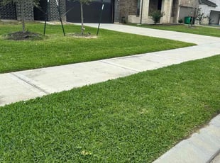 Liv M.'s turf care service result