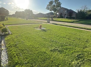 Antonio G.'s grass cutting service result