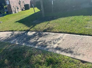 Jose C.'s lawn care services service result