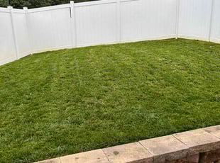 Larry D.'s lawn care service result