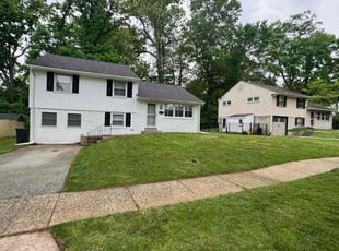 Pat D.'s lawn care services service result