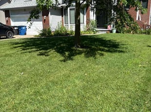 Jovon Z.'s lawn maintenance service result