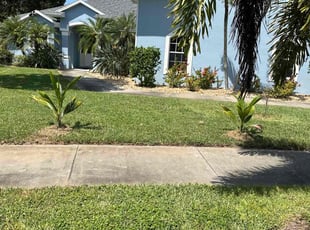 Timothy D.'s lawn care services service result