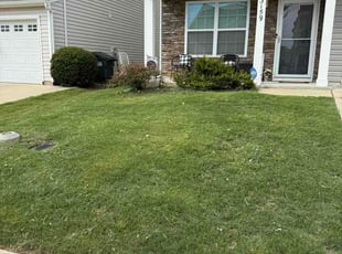 Danielle M.'s lawn care services service result