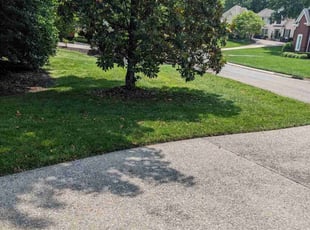 Sherri H.'s turf care service result