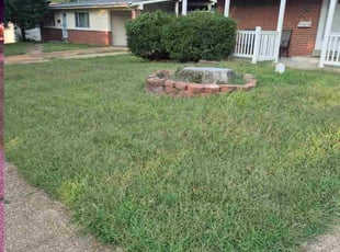 Clarissa R.'s lawn service service result