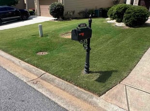 Stefanie B.'s turf care service result