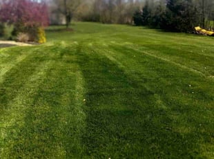 Amanda a.'s lawn care services service result