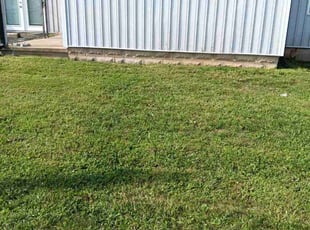 Rosam W.'s lawn care services service result
