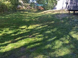 Steve C.'s turf care service result