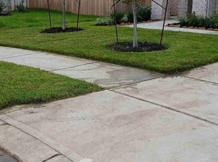 Renae B.'s turf care service result