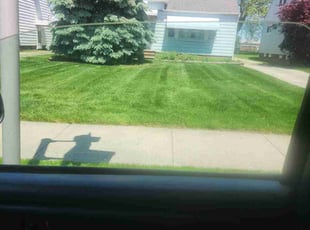 Margaret W.'s grass maintenance service result