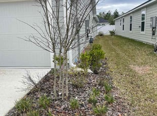 Lynn H.'s Bush Trimming service result